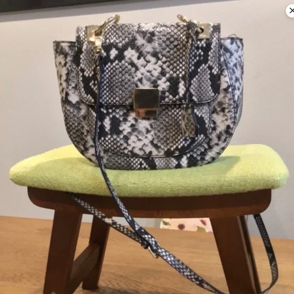 Aldo Bag | Crossbody Purse